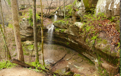 Near the hoosier forest